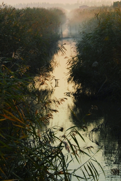 ��������Ӱ